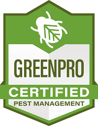 Green Pro Badge Icon
