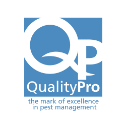 Quality Pro Badge Icon