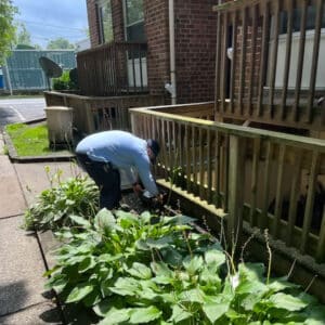 termite inspection