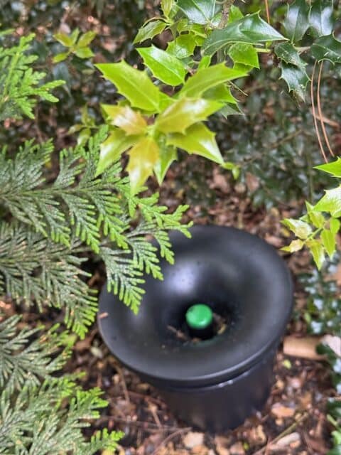 In2Care Mosquito Trap in action